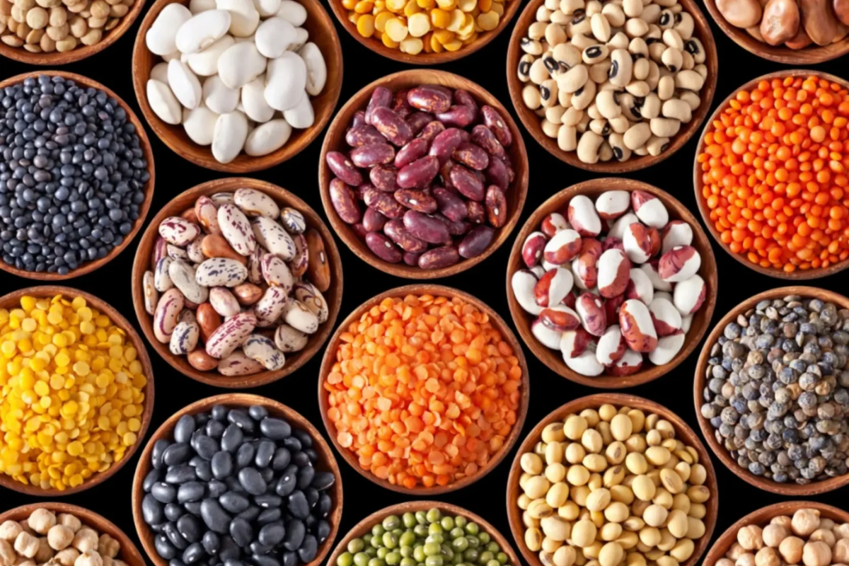 Pulses and Grains Export Supplier