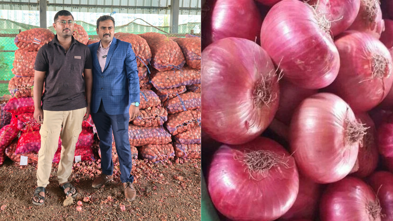 Container Unloading Apples