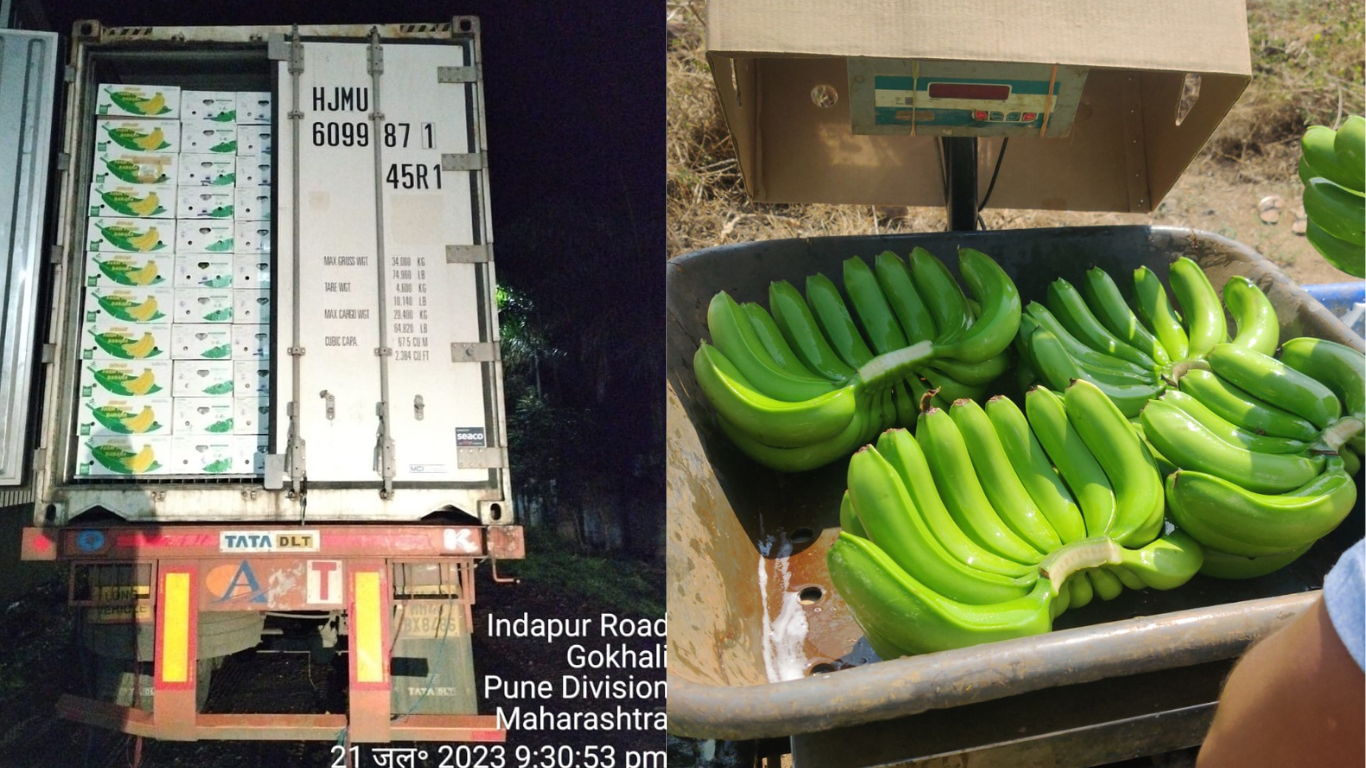 Apple Delivery to Client India