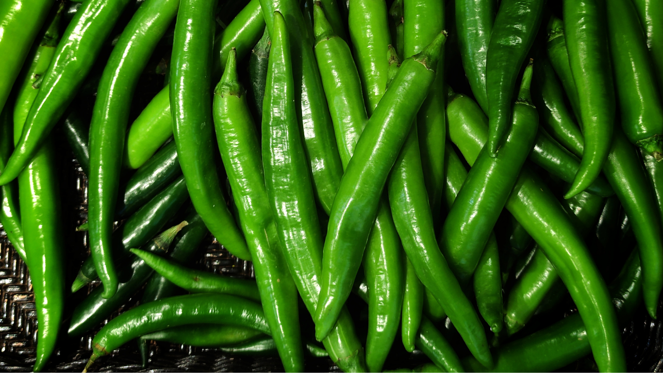 Green Chili Export