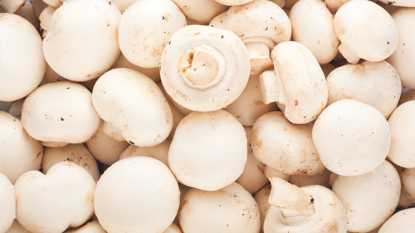 Frozen Mushrooms Export