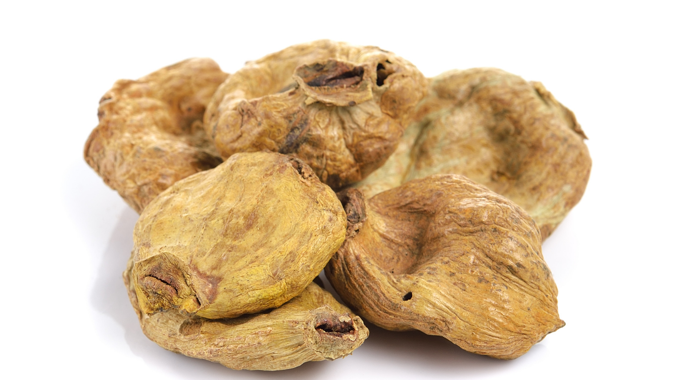 Terminalia Chebula Export