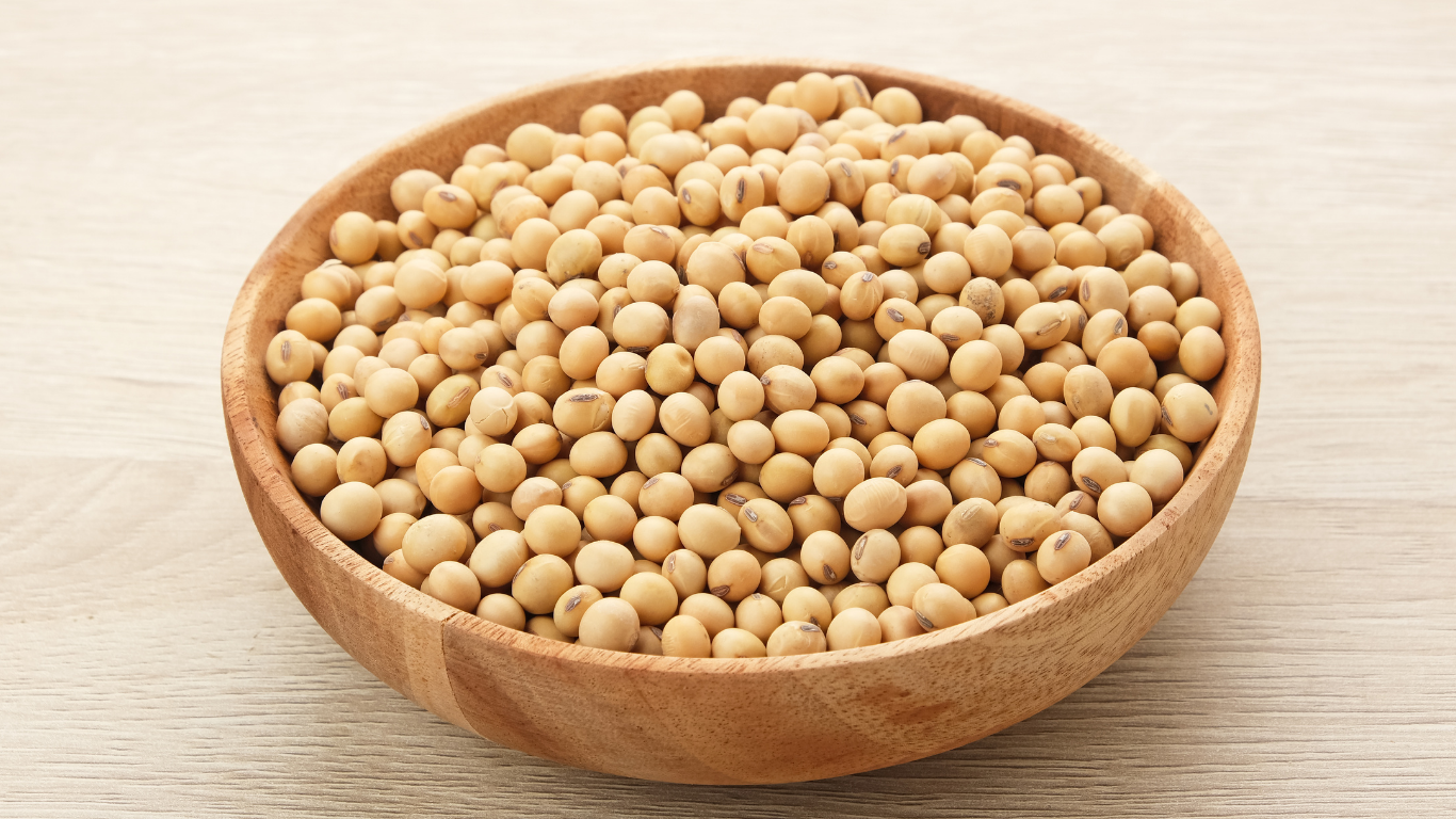 Soybean Export