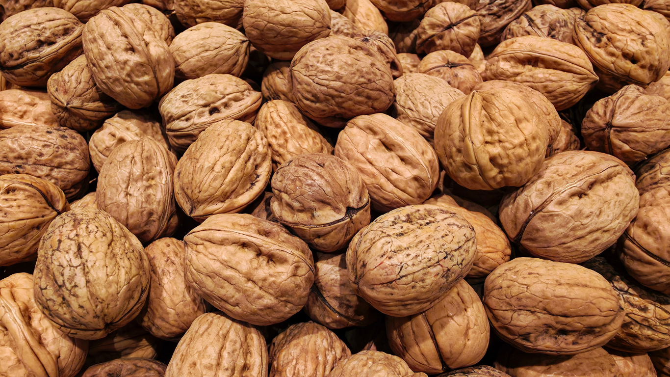Walnut Export Import