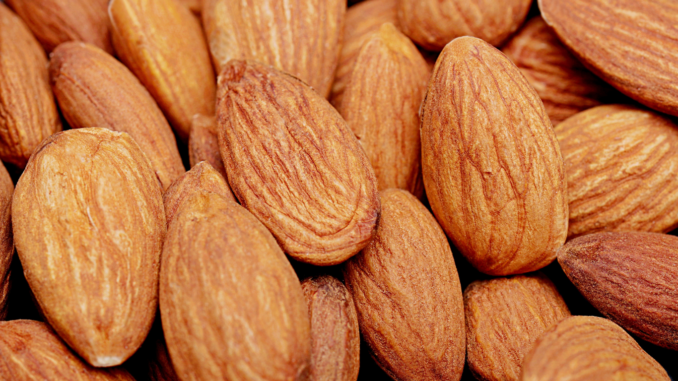 Mamra Almond Import