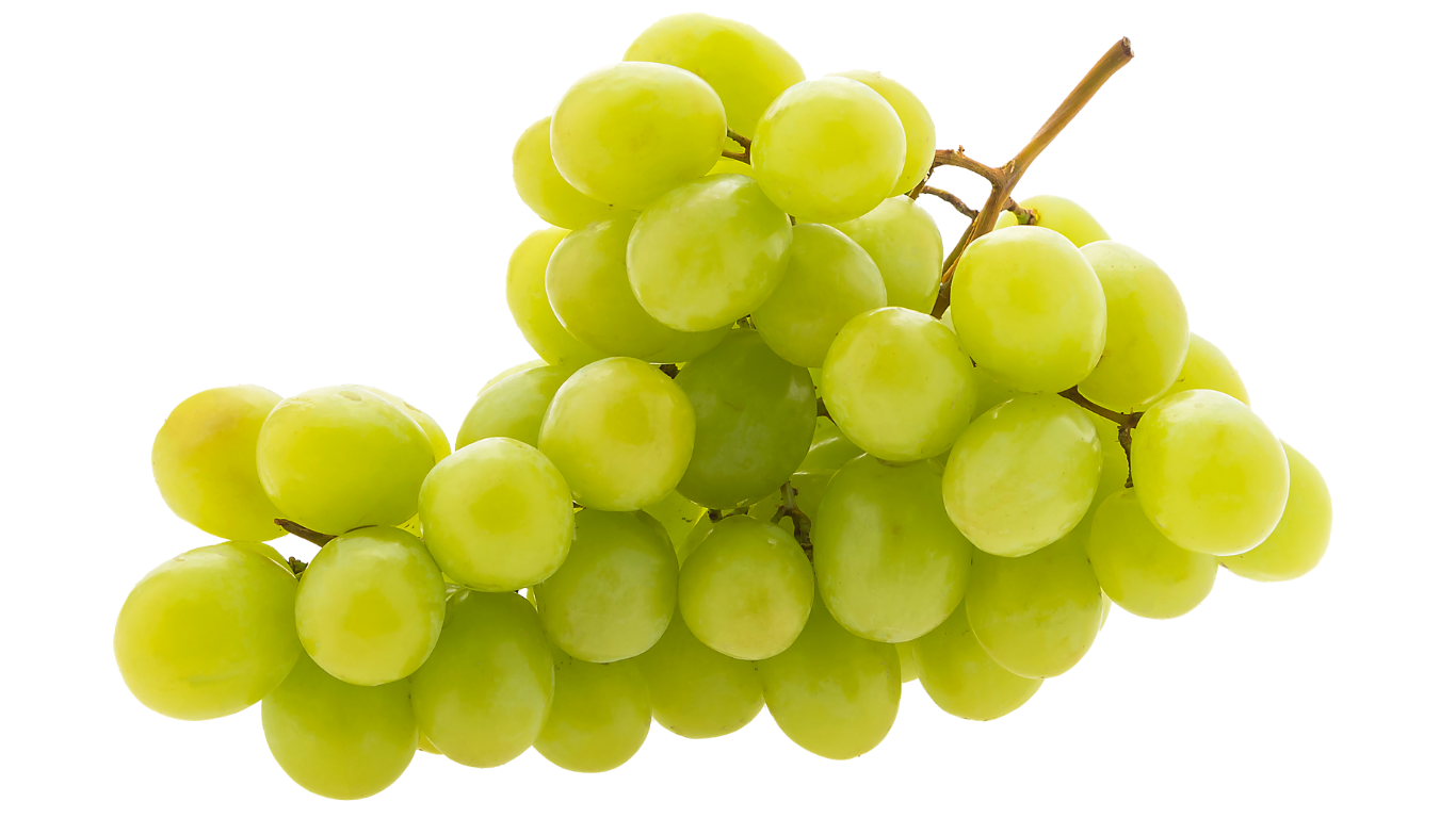 Grapes Export