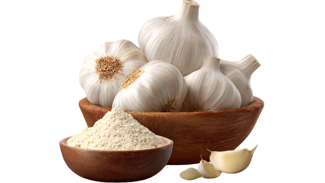 Garlic Powder Exporter India