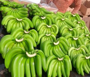 fresh-raw-banana-1643085207-6172010