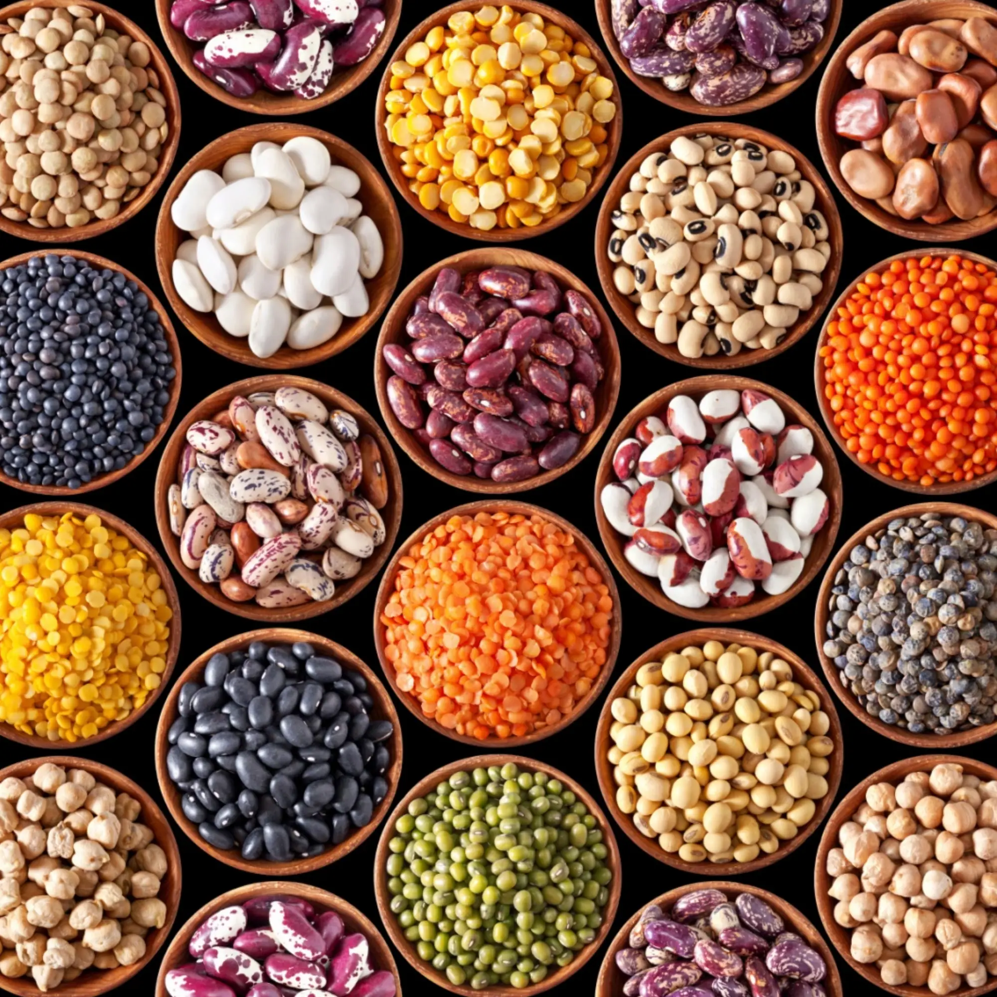 Pulses and Grains